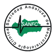 LogoSANFC